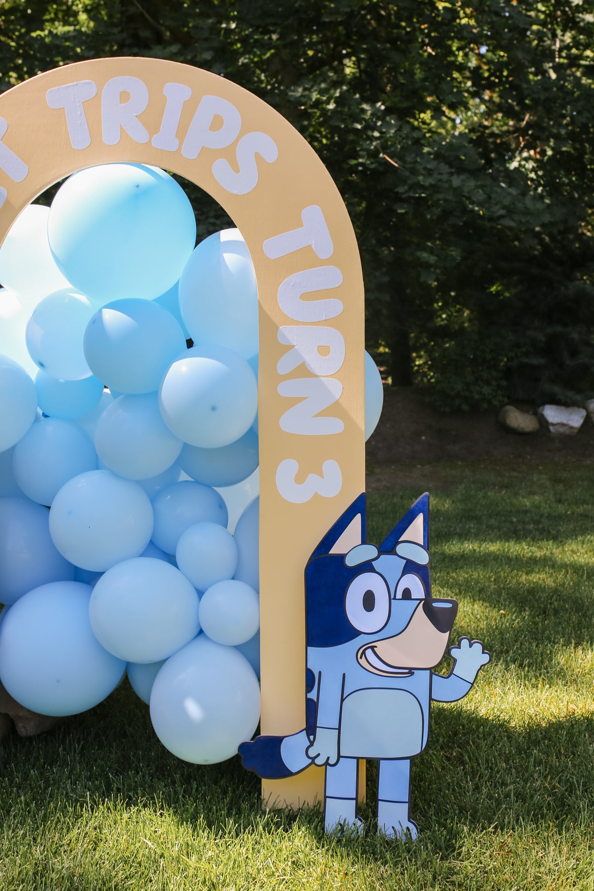 Bluey Birthday Bash